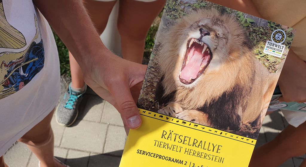 k Herberstein 1 Klassen 2022 06 28 19