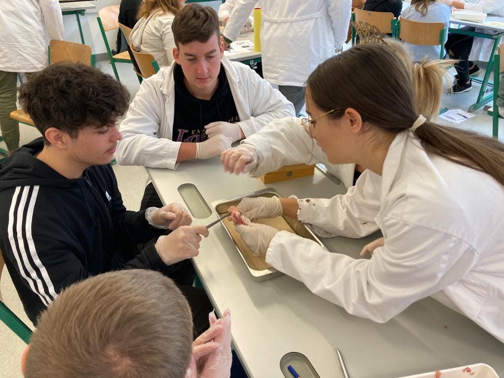 Science Lab Borg NMS Güssing – Science Day im BORG