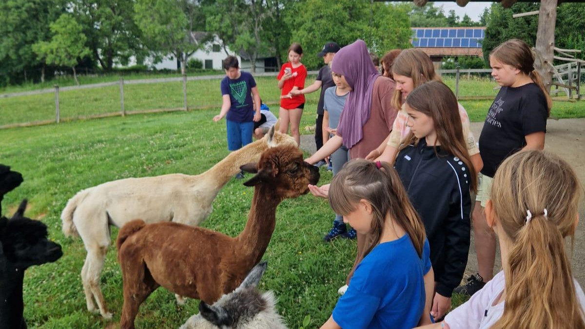 Alpaca 1c 2024 06 27 banner